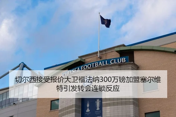 切尔西接受报价大卫福法纳300万镑加盟塞尔维特引发转会连锁反应